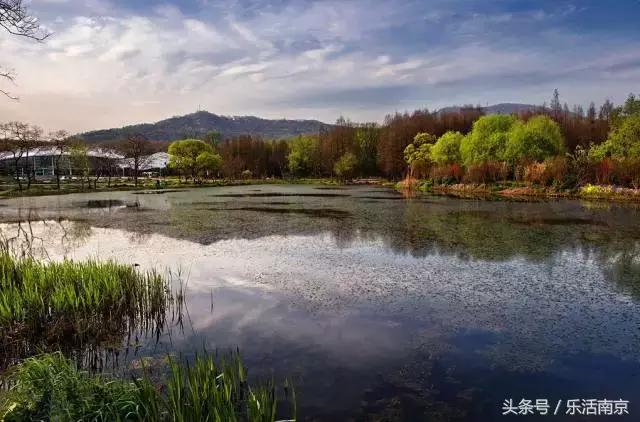 南京莫愁湖公园免费,南京免费公园免费开放日一览表