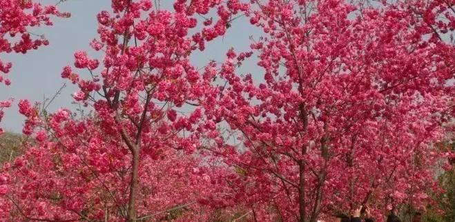 吃鲟鱼、泡温泉、赏美景、玩陶艺···完美周末就这么简单！