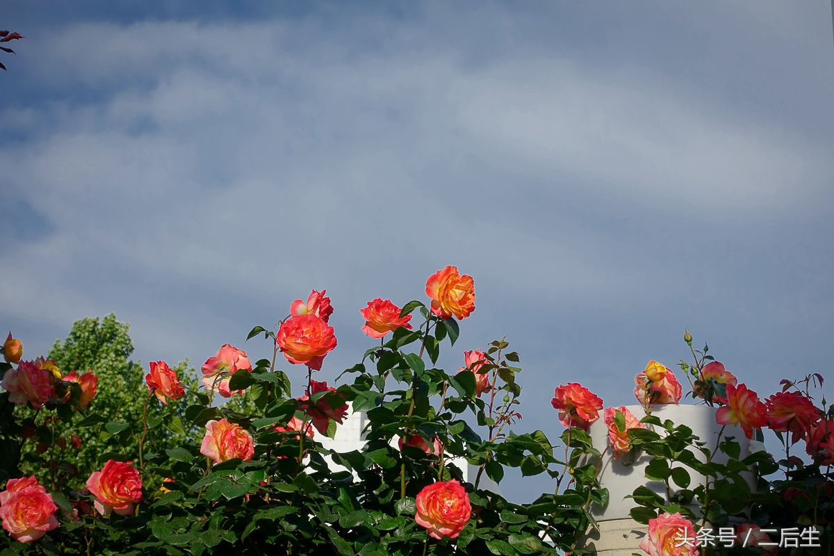 500g硬盘能够储存多少照片,机械硬盘500g能存多少张相片