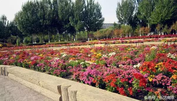 南京莫愁湖公园免费,南京免费公园免费开放日一览表