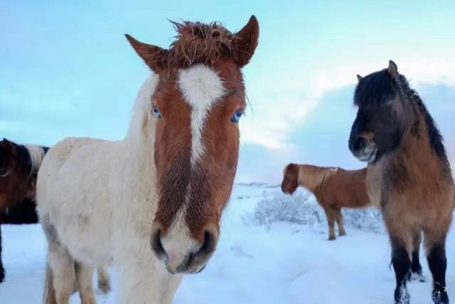 嗨哩文旅丨邂逅外星球，X-Pro2的冰岛考验！