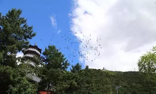 北京很多人不知道的景点,密云很少人知道的地方