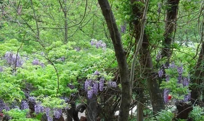 吃鲟鱼、泡温泉、赏美景、玩陶艺···完美周末就这么简单！