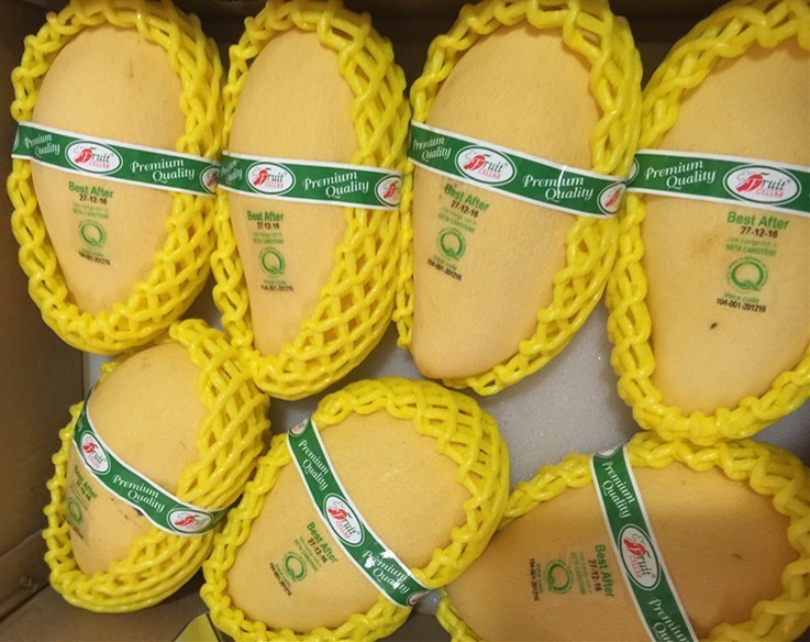 这芒果的味道太惊艳！年销6000万的批发商靠它成上海芒果一姐