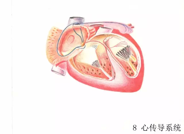正所谓画骨画皮也画心,画皮画骨还画心