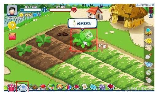 永州现真人开心农场-你还让人偷菜吗？