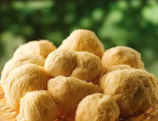 陈金海：陕西核桃已超千万亩，大多数种植户将面临滞销的挑战！