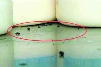 包贝尔李晨陈赫吐槽薛之谦,李晨和包贝尔视频