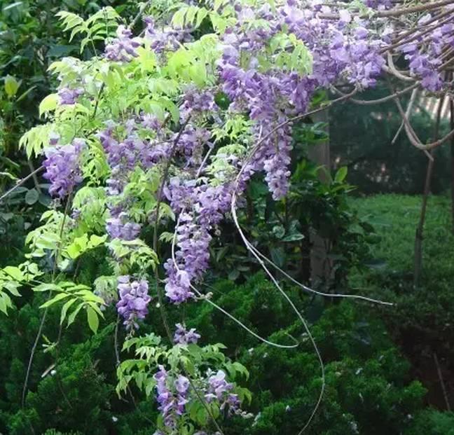 吃鲟鱼、泡温泉、赏美景、玩陶艺···完美周末就这么简单！