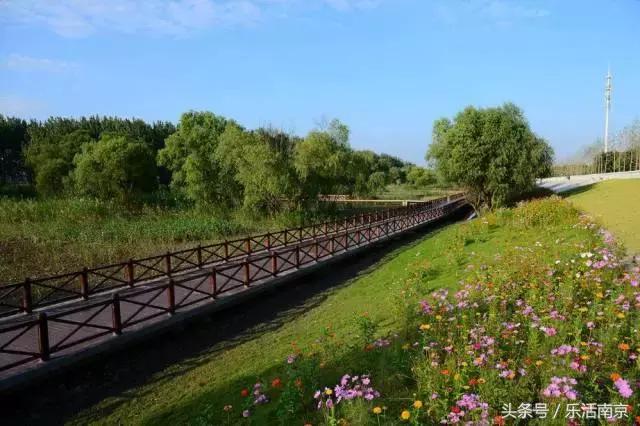 南京莫愁湖公园免费,南京免费公园免费开放日一览表