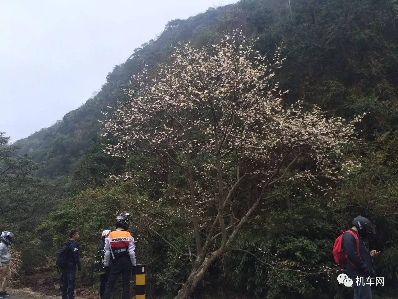 车友风采，遇到摩托车后，感觉每天都是热恋