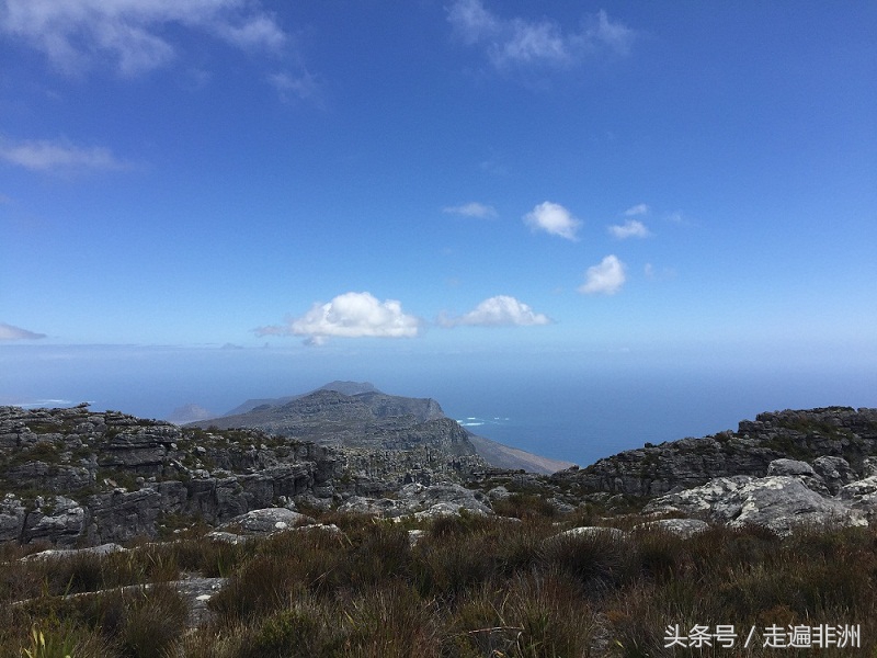 一个很棒的城市开普敦,你爱上一座城市是因为什么