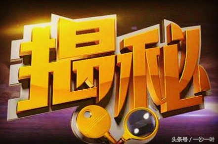 app运营费用明细表,app代运营报价单