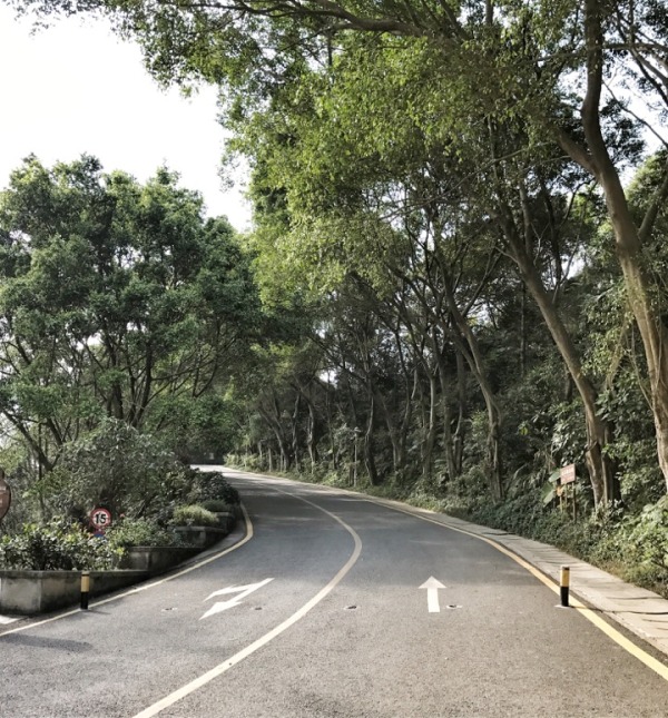 深圳有什么好玩的地方呢,深圳有什么好玩的地方合适小孩