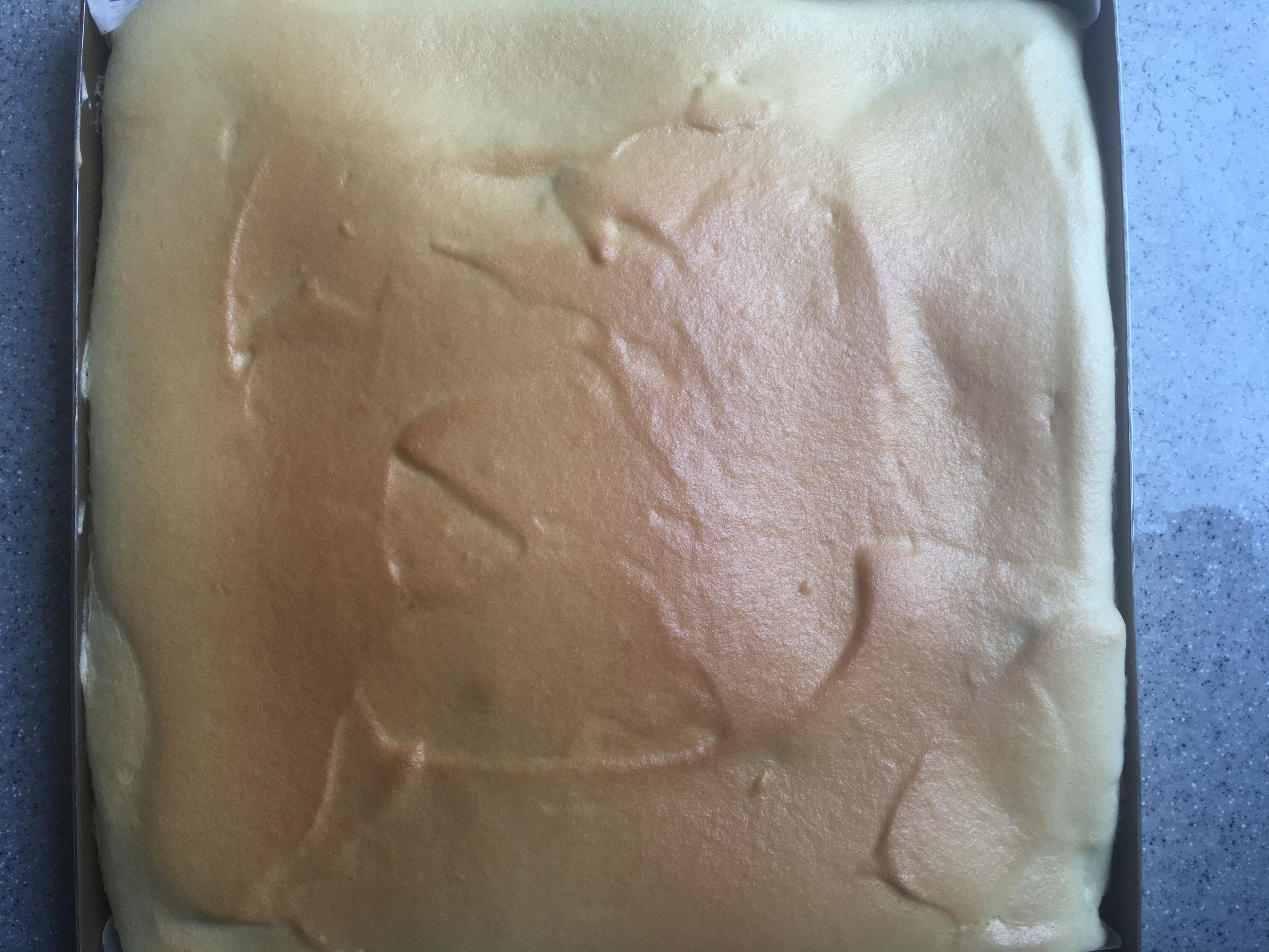 黑白花奶牛与娟姗奶牛的区别,黄白花奶牛好还是黑白花奶牛好