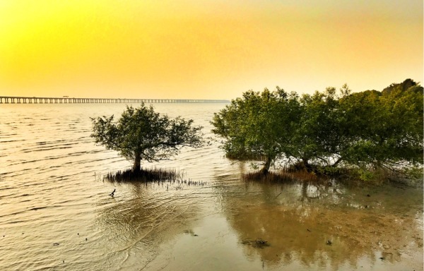 深圳有什么好玩的地方呢,深圳有什么好玩的地方合适小孩