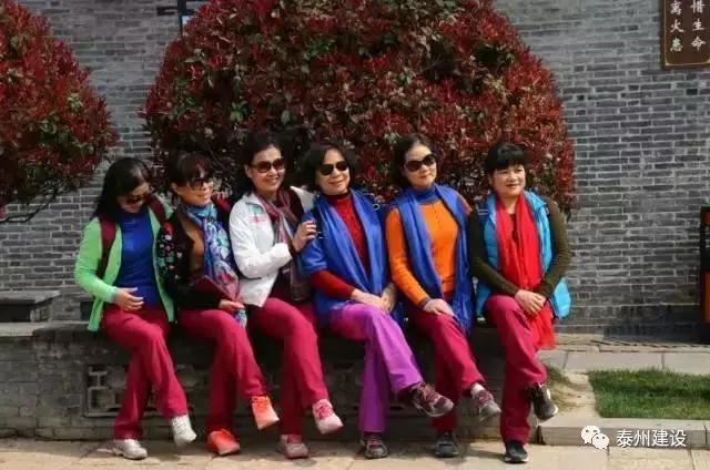 广东首次开往泰州的“花境”梦东南专列近600名游客畅游稻河湾