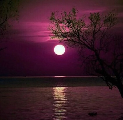 三毛极美的九句话道尽人生,三毛的话惊艳了时光温暖了岁月