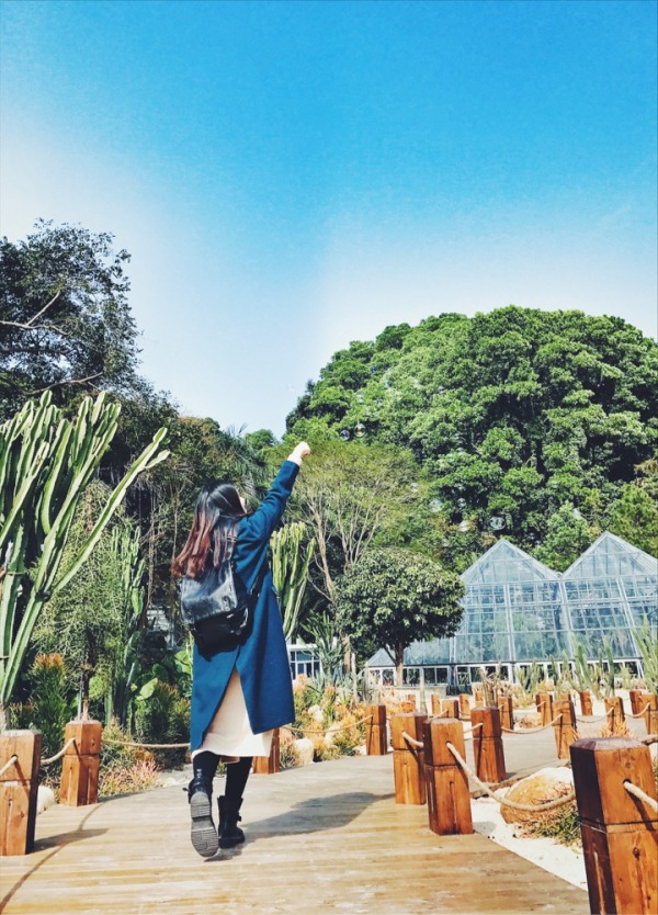 深圳有什么好玩的地方呢,深圳有什么好玩的地方合适小孩