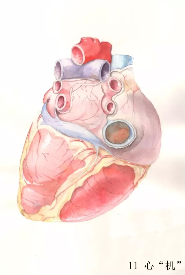 正所谓画骨画皮也画心,画皮画骨还画心