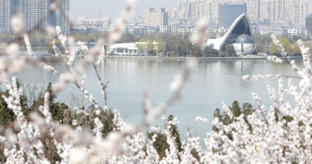最美人间四月天花开如梦,最美人间四月天书香浸润满校园