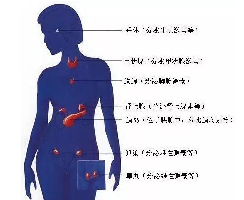 史上最全面的检查项目解读，为了你及家人的健康