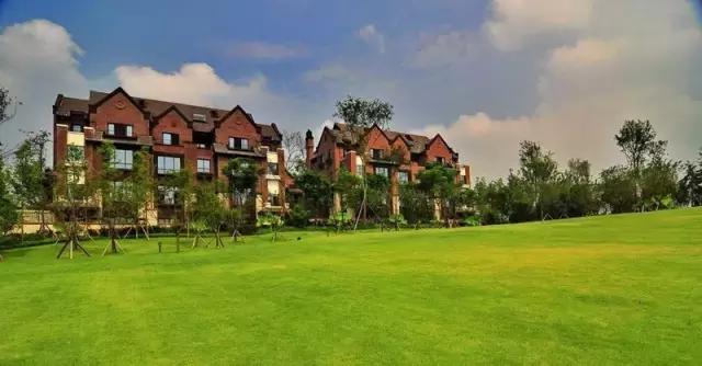 大开发商扎堆的地方未来怎么样,大开发商远郊集中拿地