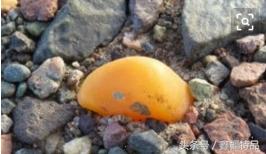 怎么区分新疆戈壁海蓝宝石的真假,价值400万的新疆戈壁海蓝宝石