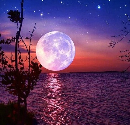 三毛极美的九句话道尽人生,三毛的话惊艳了时光温暖了岁月