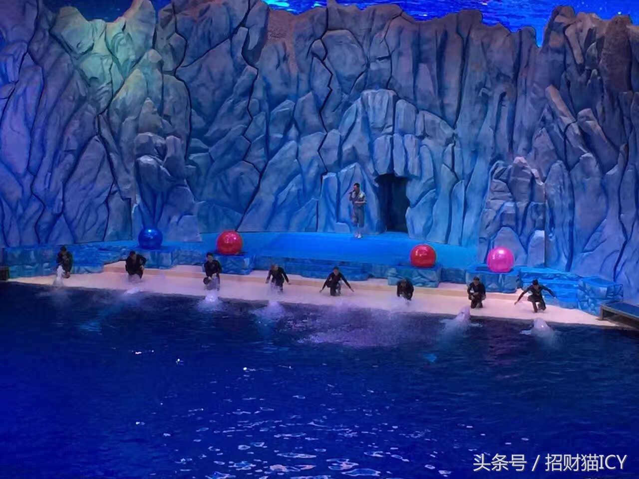 珠海长隆奇幻之旅,广州珠海长隆两天一夜攻略