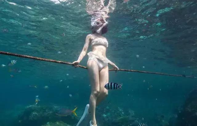 陈赫老婆许婧谈了多少年,陈赫前妻许婧完全版