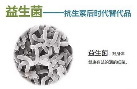 生命之母酵素乳酸菌,生命源益生菌