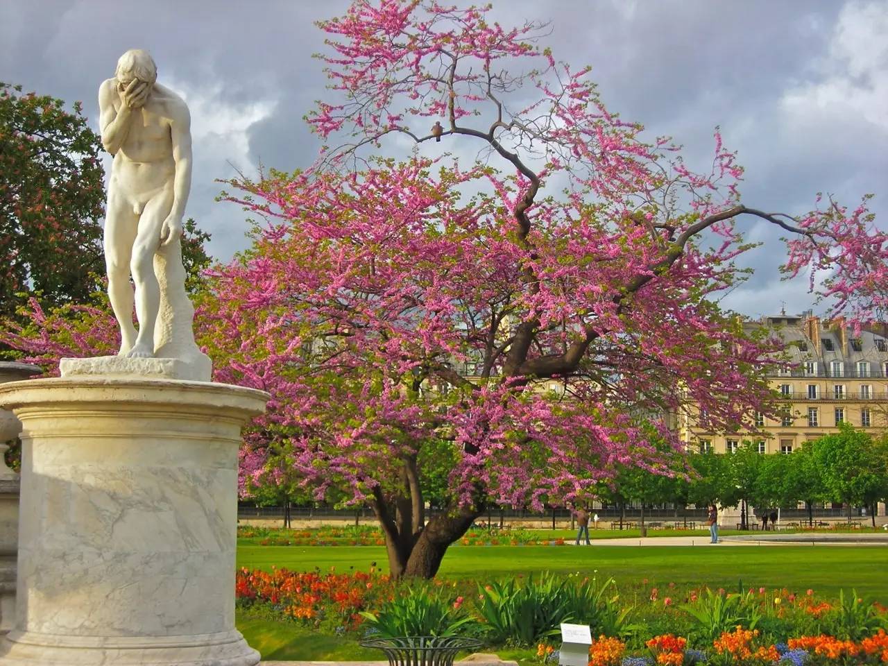 电影情迷巴黎国语版,情迷巴黎免费完全版