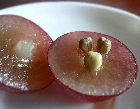 告诉你一个让皮肤白又亮的好方法,2个让你皮肤嫩滑从黑到白的方法