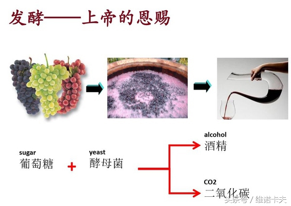 自己怎样测量葡萄酒的酒精度数,干红葡萄酒的酒精度数