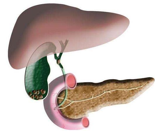 人真的能被吓破胆吗,人真有吓破胆的吗