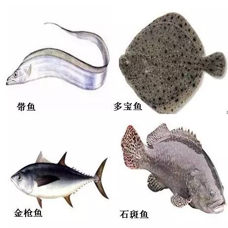 孕妇能不能吃鲫鱼卵,孕妇能不能吃怀孕的鱼