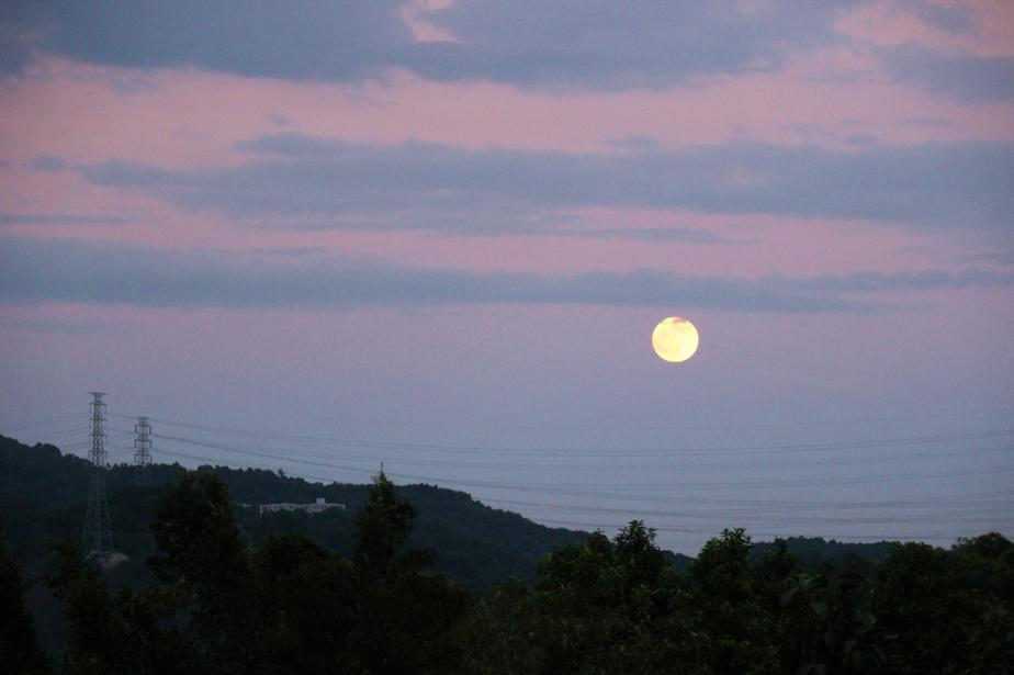 石岩湖湿地公园,石岩湖风景区