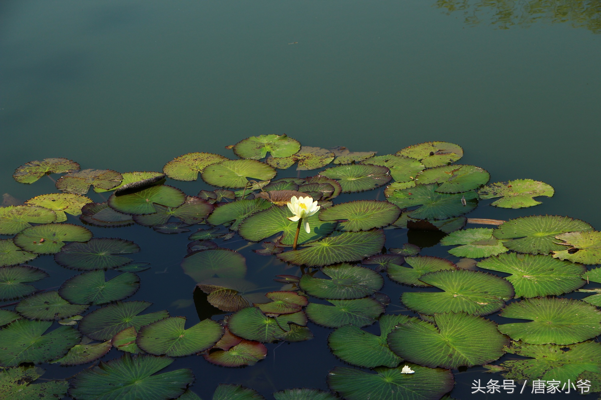 佳能700d样片欣赏,如何快速上手一台佳能700d