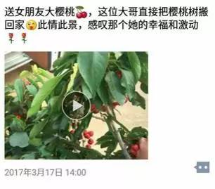 卖樱桃文案高级感朋友圈,朋友圈售卖樱桃文案