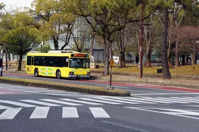 日本奈良看小鹿,日本奈良看小鹿视频