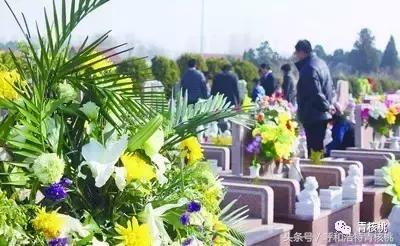 清明陵园交通管制最新,清明墓区交通管制