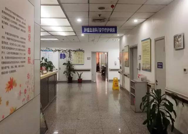 海淀医院安宁病房,安宁疗护病房让生命尊严谢幕