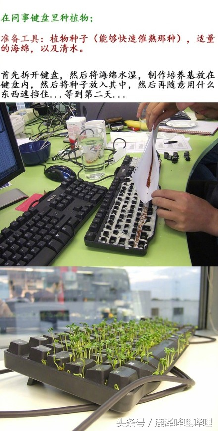 愚人节游戏整蛊规则在手机上,愚人节整蛊新招网络不给力怎么弄