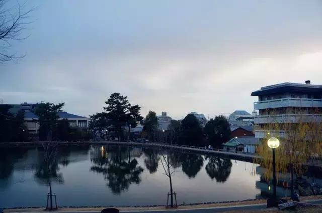 日本奈良看小鹿,日本奈良看小鹿视频