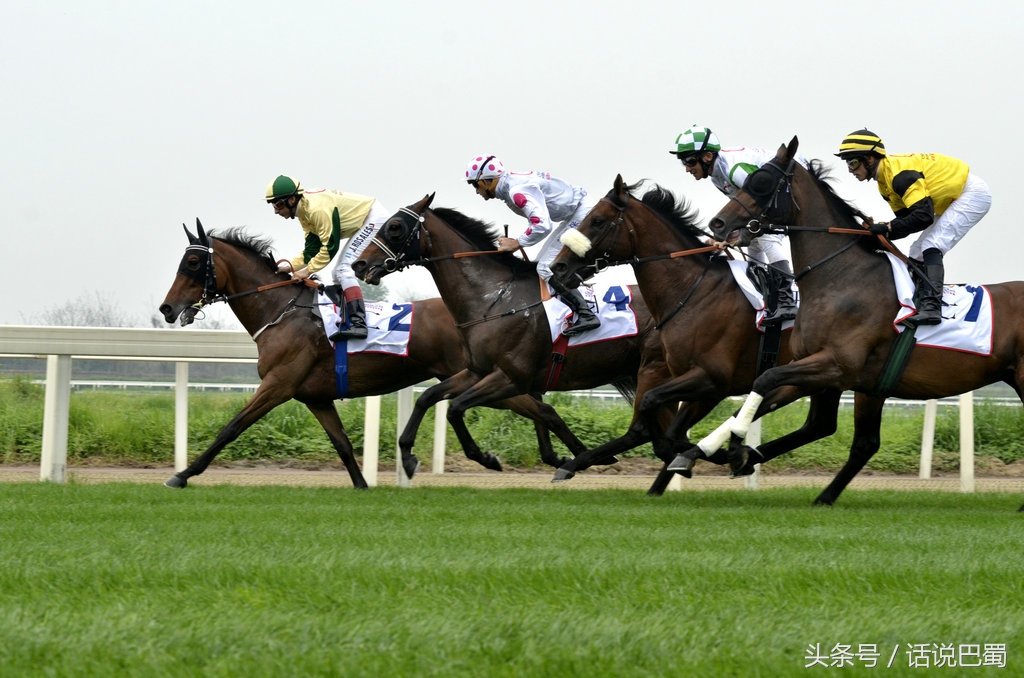 成都迪拜国际杯赛马今日举行中国骑师王文勋首战告捷