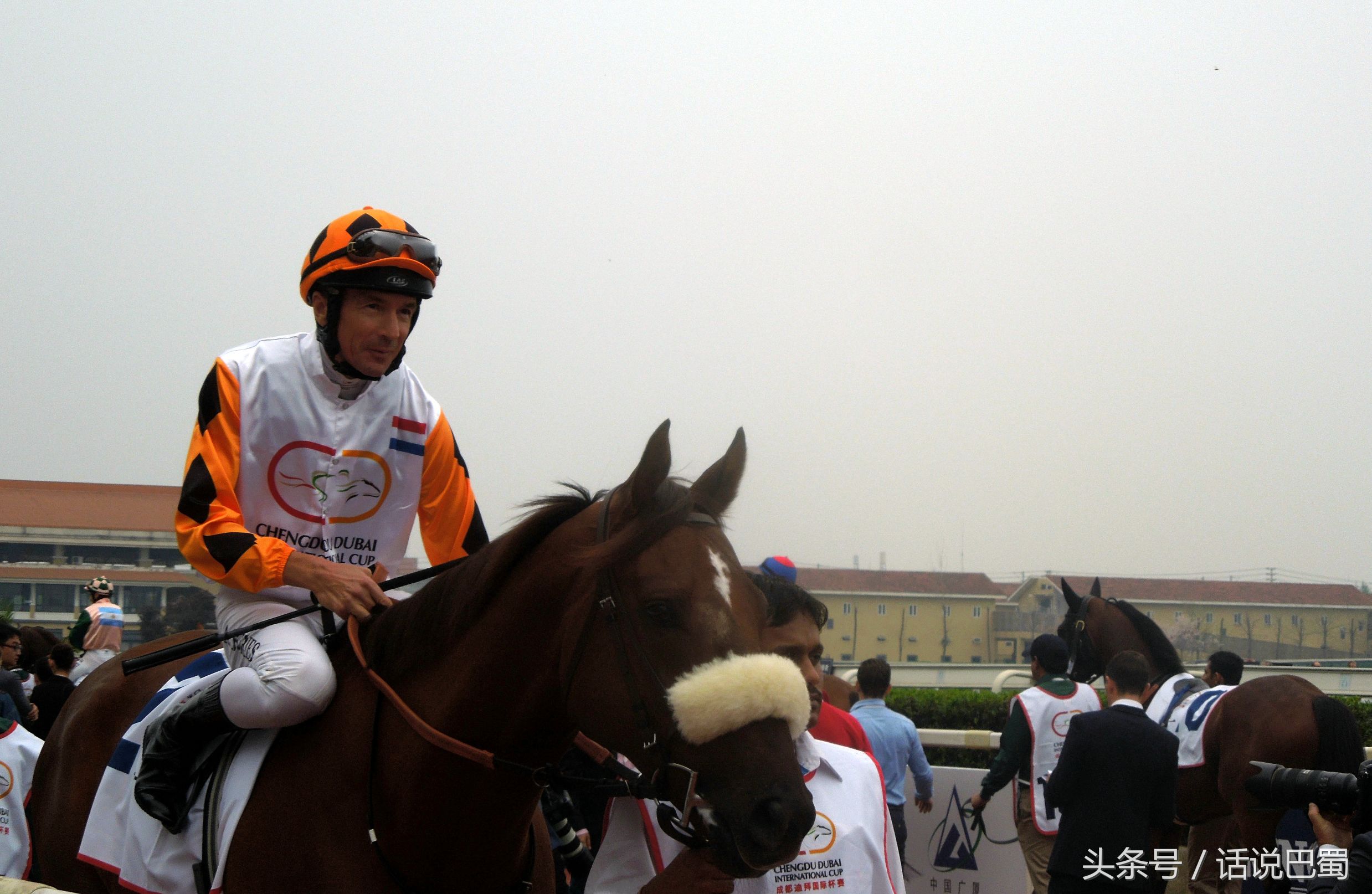 成都迪拜国际杯赛马今日举行中国骑师王文勋首战告捷