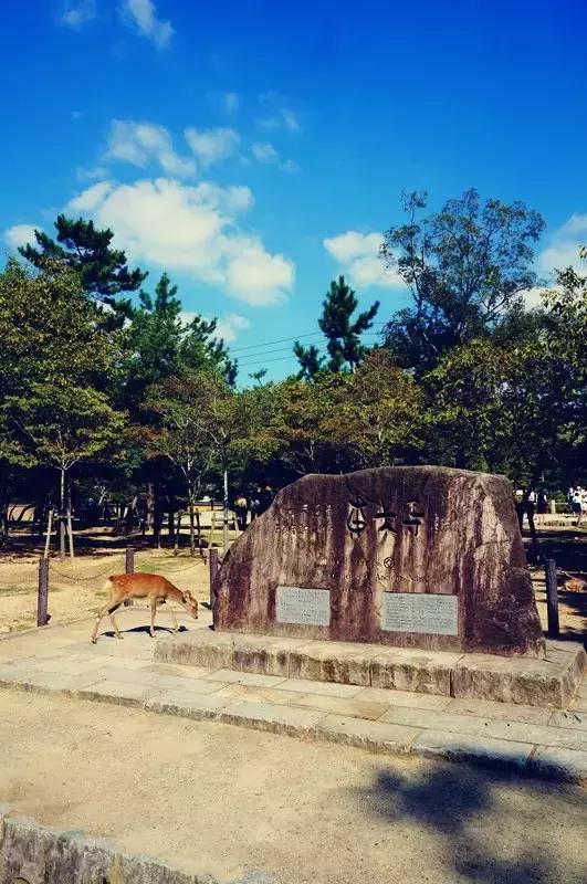 日本奈良看小鹿,日本奈良看小鹿视频