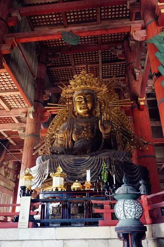 日本奈良看小鹿,日本奈良看小鹿视频