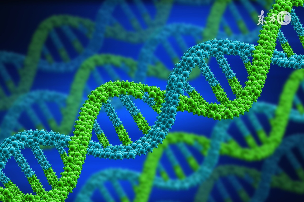 宫颈癌有基因突变能够靶向治疗吗,基因靶向治疗宫颈癌